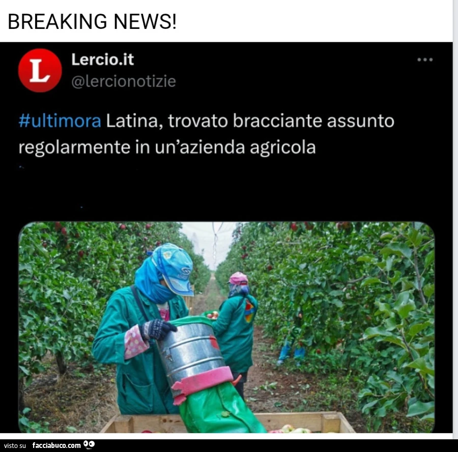 Vaccata