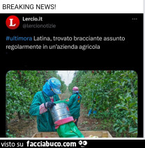 Vaccata