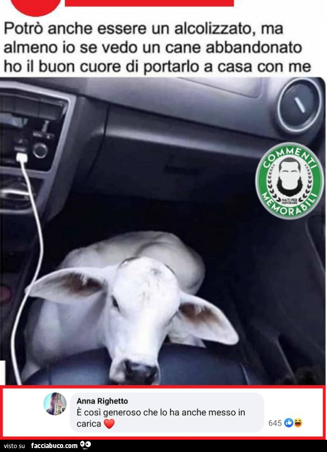 Vaccata