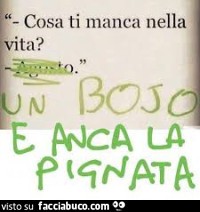 Vaccata