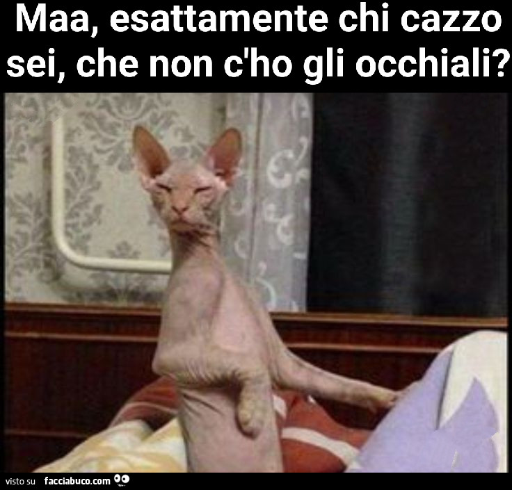Vaccata