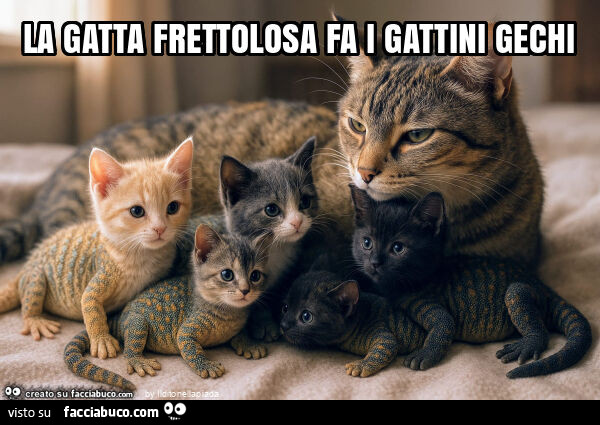 La gatta frettolosa fa i gattini gechi