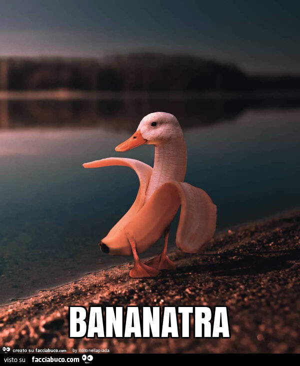 Bananatra