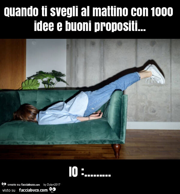 Quando ti svegli al mattino con 1000 idee e buoni propositi… io