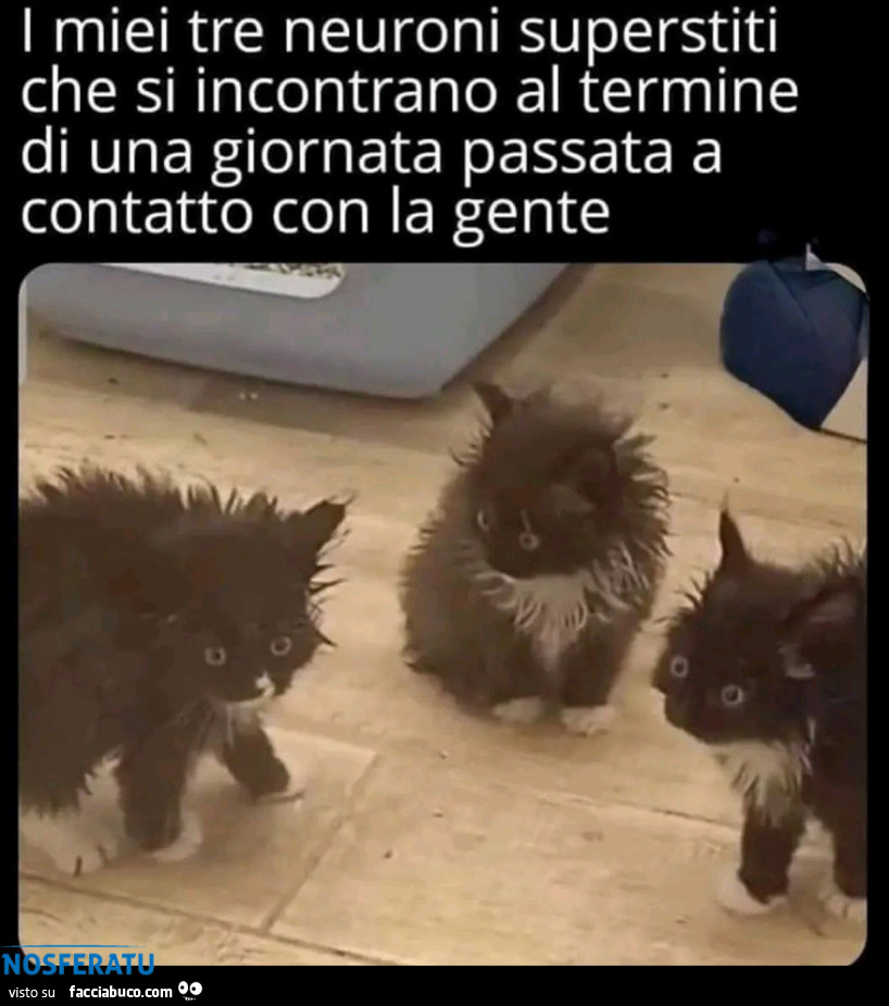I miei tre neuroni superstiti