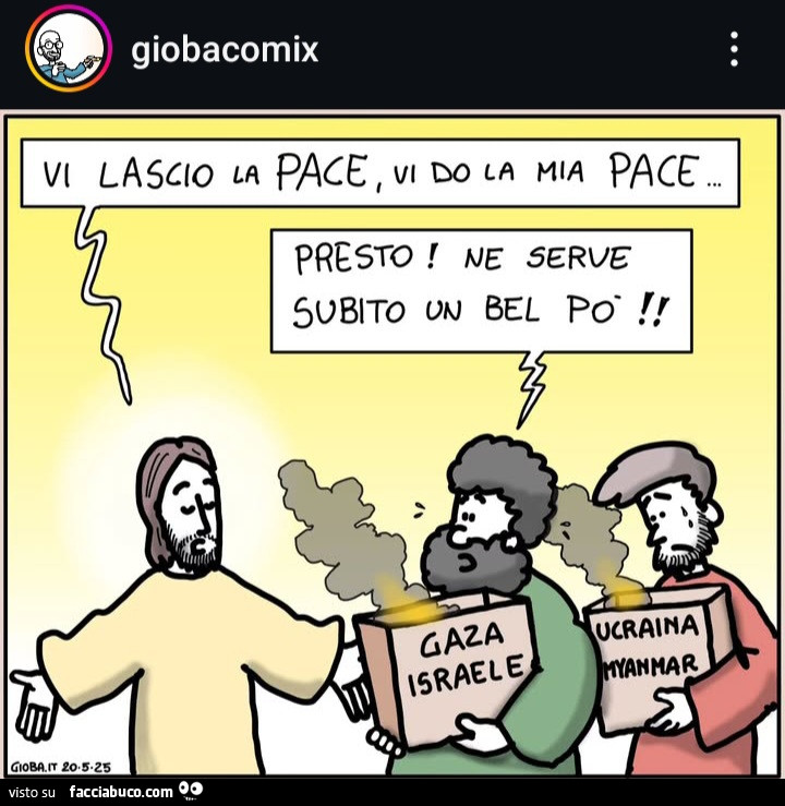 Vaccata