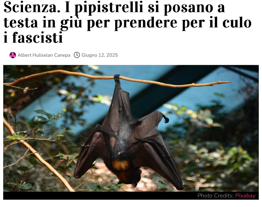 Vaccata
