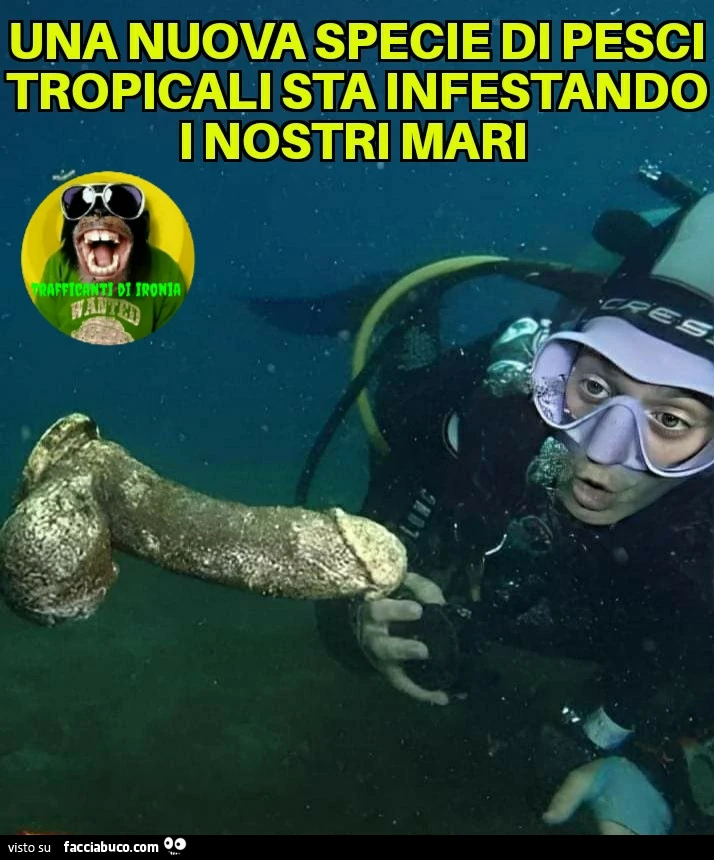 Una nuova specie di pesci tropicali sta infestando รฌ nostri mari