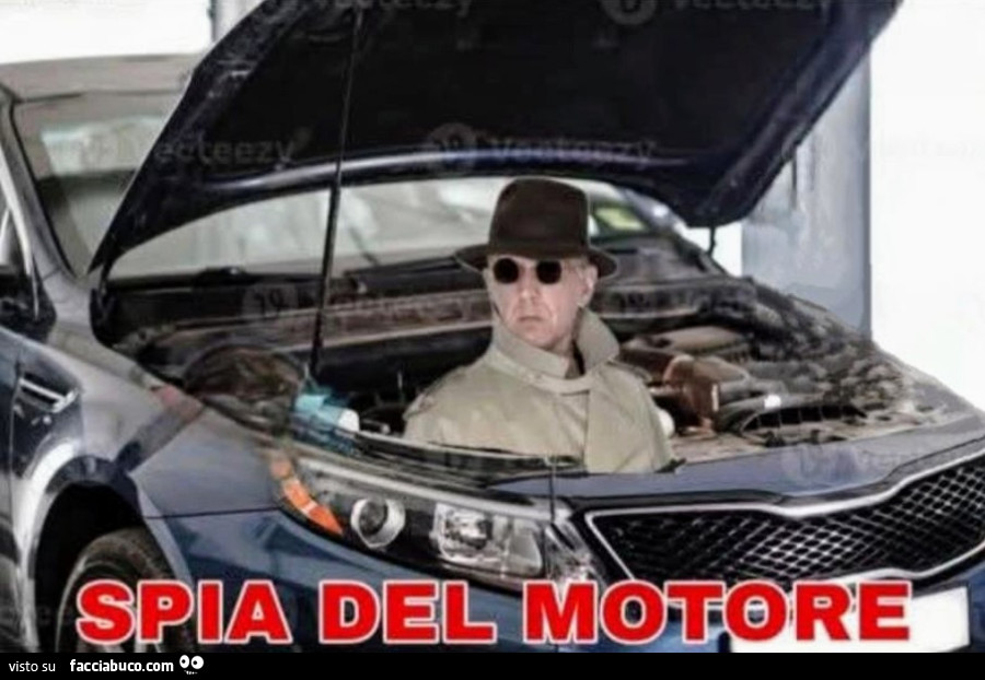 Spia