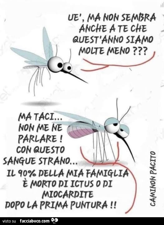 Uè ma non sembra anche a te che quest'anno siamo molte meno?