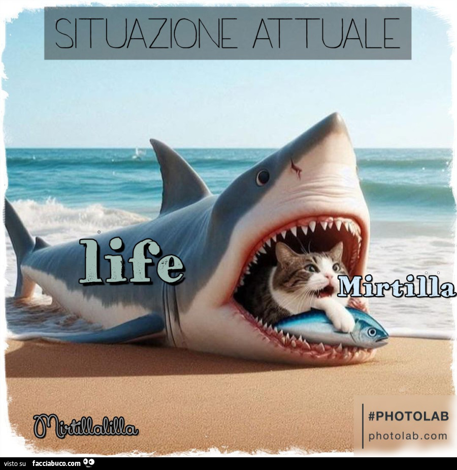 Situazione attuale