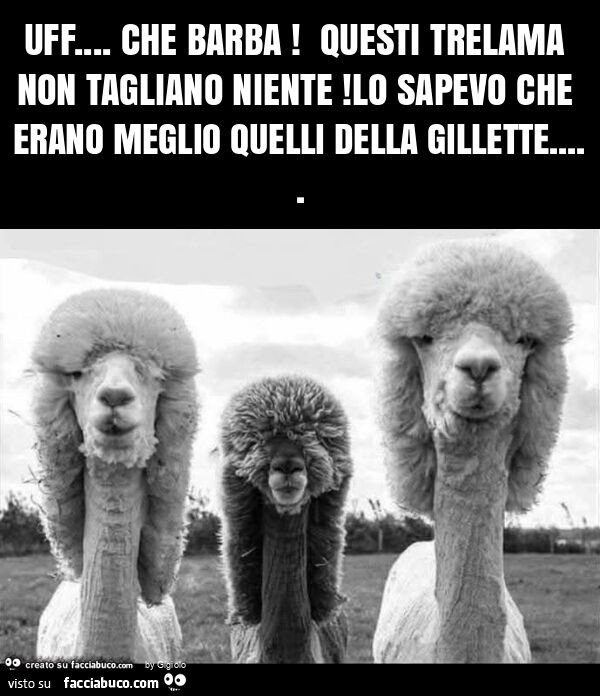 Uff… che barba! Questi trelama non tagliano niente! Lo sapevo che erano meglio quelli della gillette