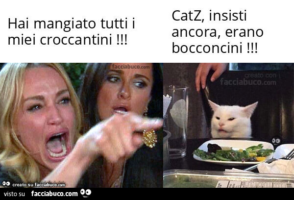 Hai mangiato tutti i miei croccantini! . Catz, insisti ancora, erano bocconcini