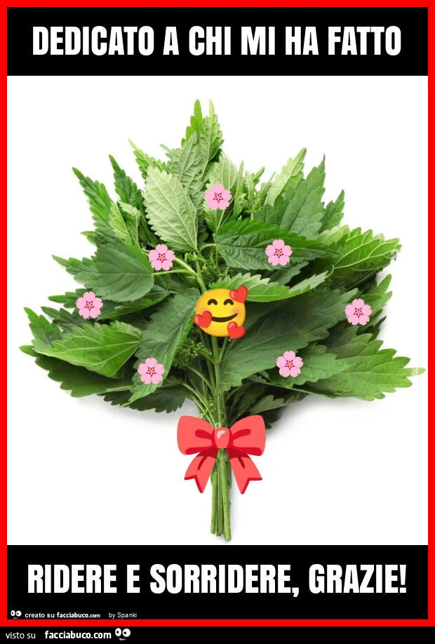 Dedicato a chi mi ha fatto ridere e sorridere, grazie