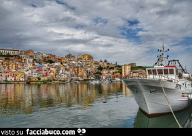 Vaccata