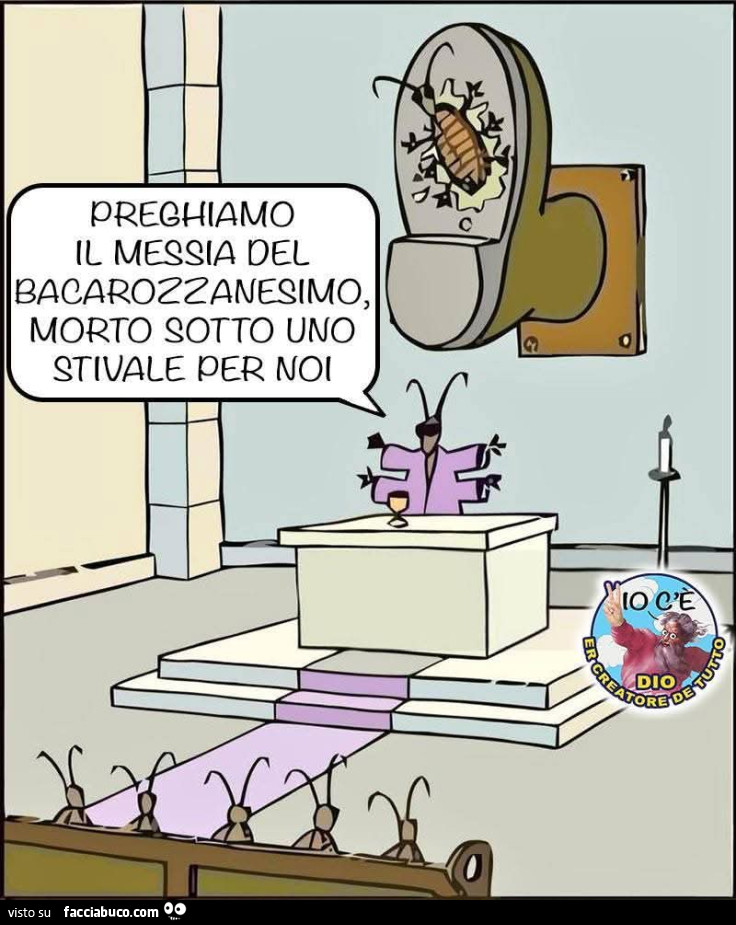 Vaccata