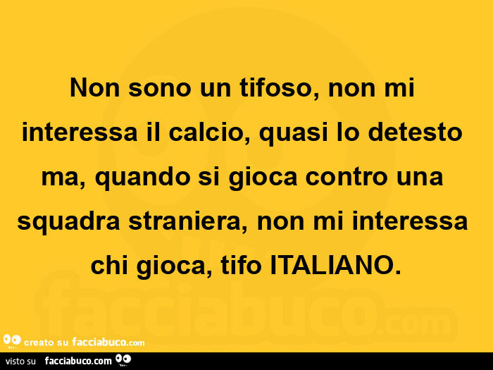 Non sono un tifoso, non mi interessa il calcio, quasi lo detesto ma, quando si gioca contro una squadra straniera, non mi interessa chi gioca, tifo italiano