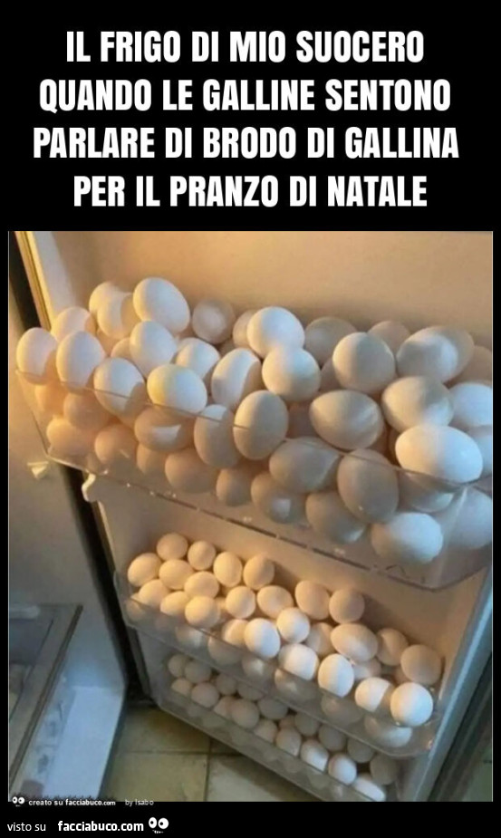 Il frigo di mio suocero quando le galline sentono parlare di brodo di gallina per il pranzo di natale