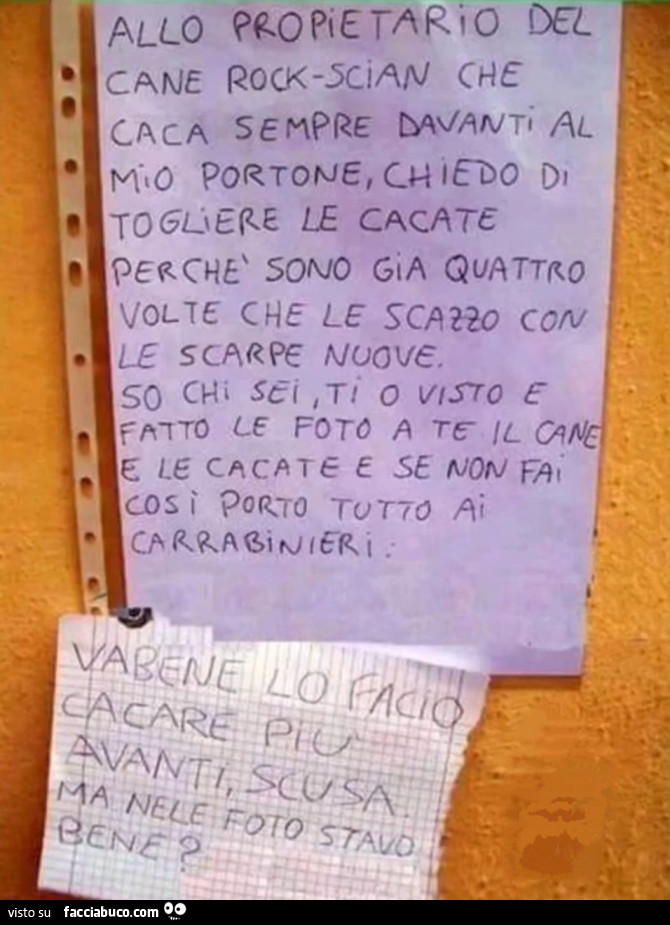 Vaccata