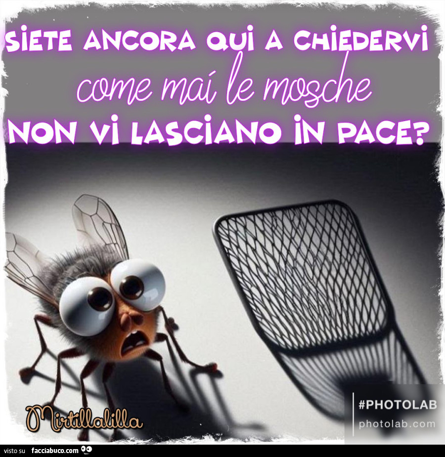 Le mosche non vi lasciano in pace?