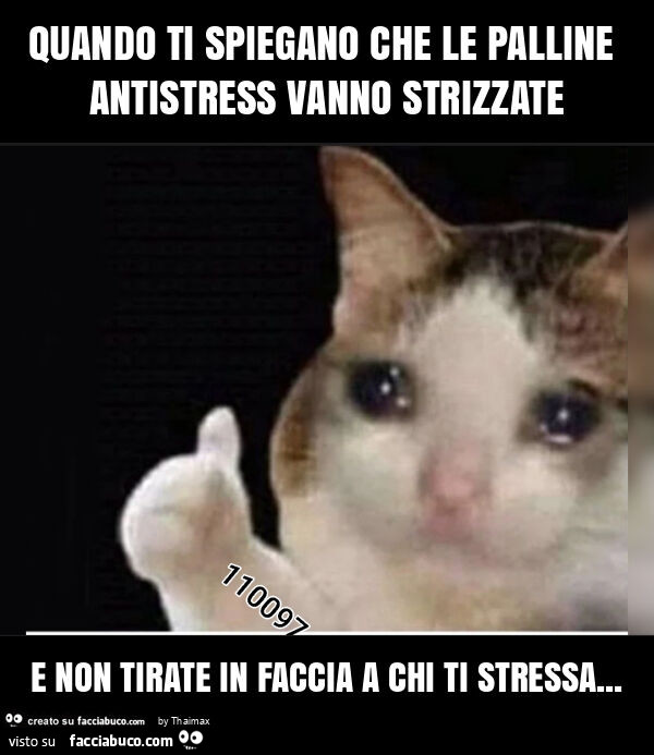 Quando ti spiegano che le palline antistress vanno strizzate e non tirate in faccia a chi ti stressa