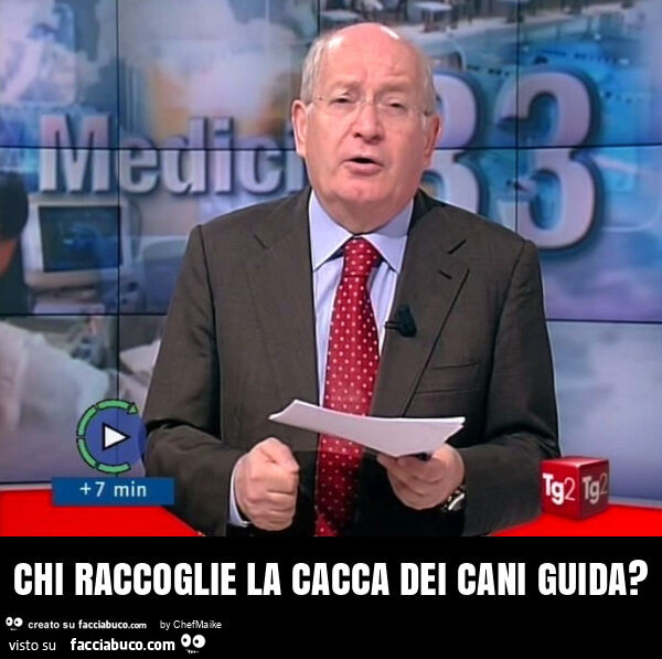 Chi raccoglie la cacca dei cani guida?