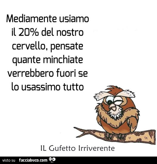 Mediamente usiamo il 20% del nostro cervello, pensate quante minchiate verrebbero fuori se lo usassimo tutto