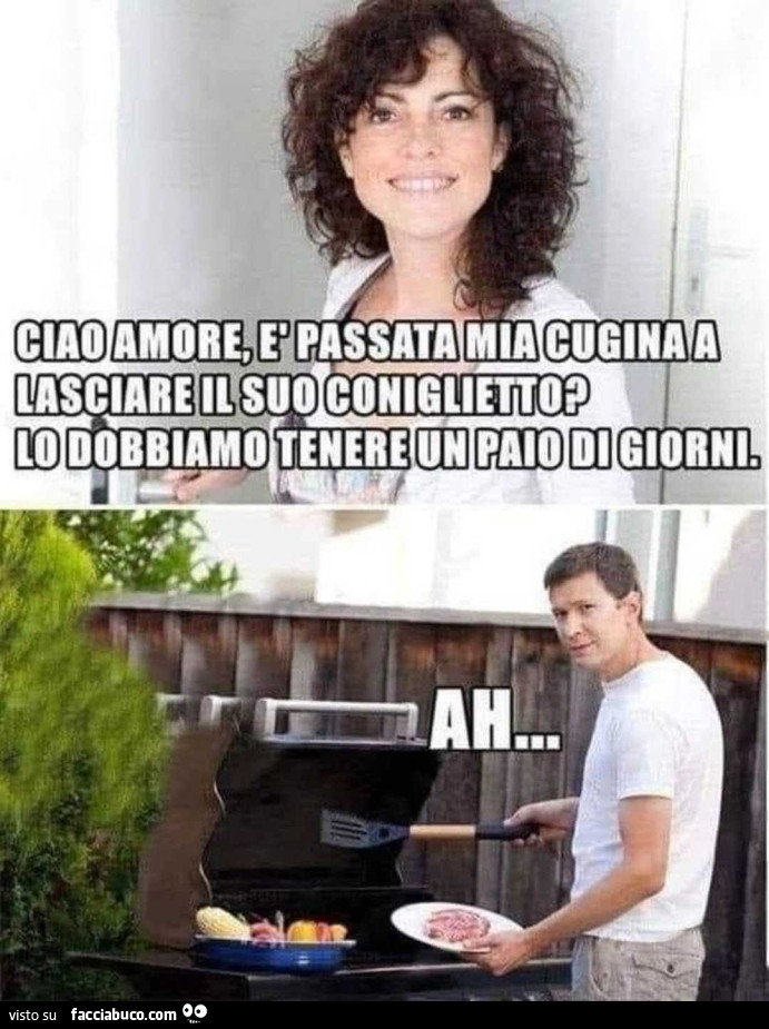 Il coniglio