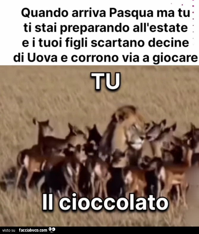Vaccata