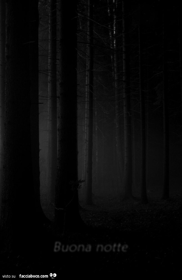 Foresta spoglia di notte. Buona notte