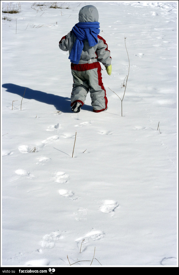 Bimbo sulla neve