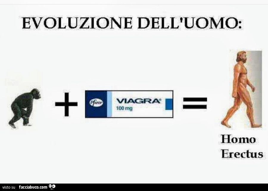 Evoluzione dell'uomo: homo erectus