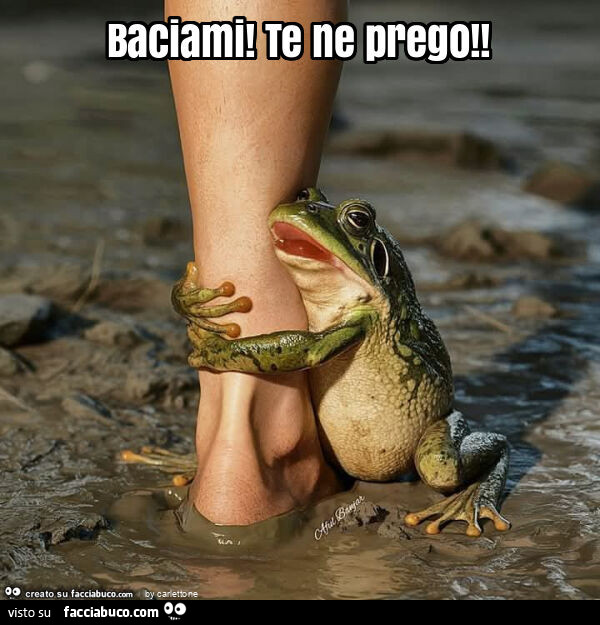 Baciami! Te ne prego