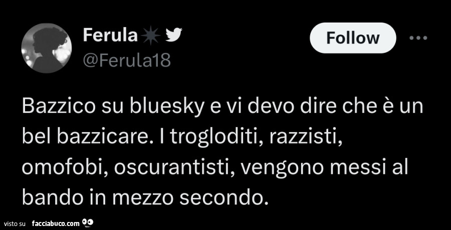 Bazzico su bluesky e vi devo dire che è un bel bazzicare. I trogloditi, razzisti, omofobi, oscurantisti, vengono messi al bando in mezzo secondo