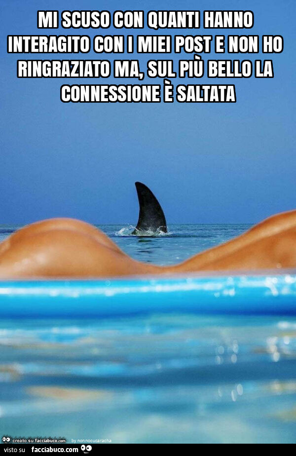 Mi scuso con quanti hanno interagito con i miei post e non ho ringraziato ma, sul più bello la connessione è saltata