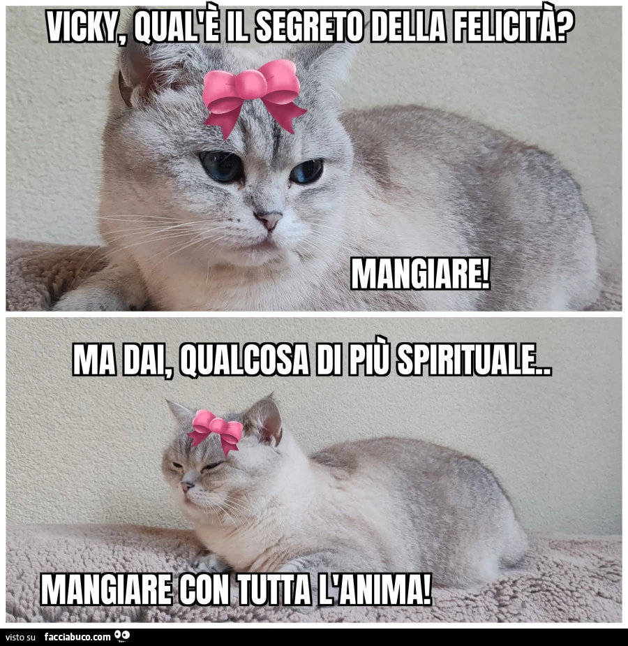 Vaccata