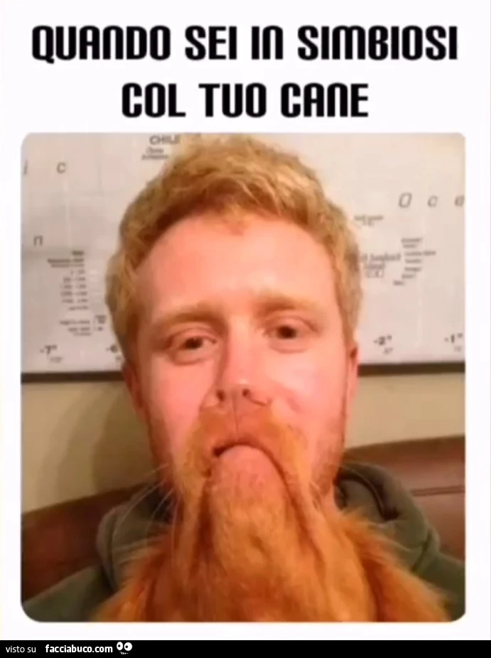 Quando sei in simbiosi col tuo cane