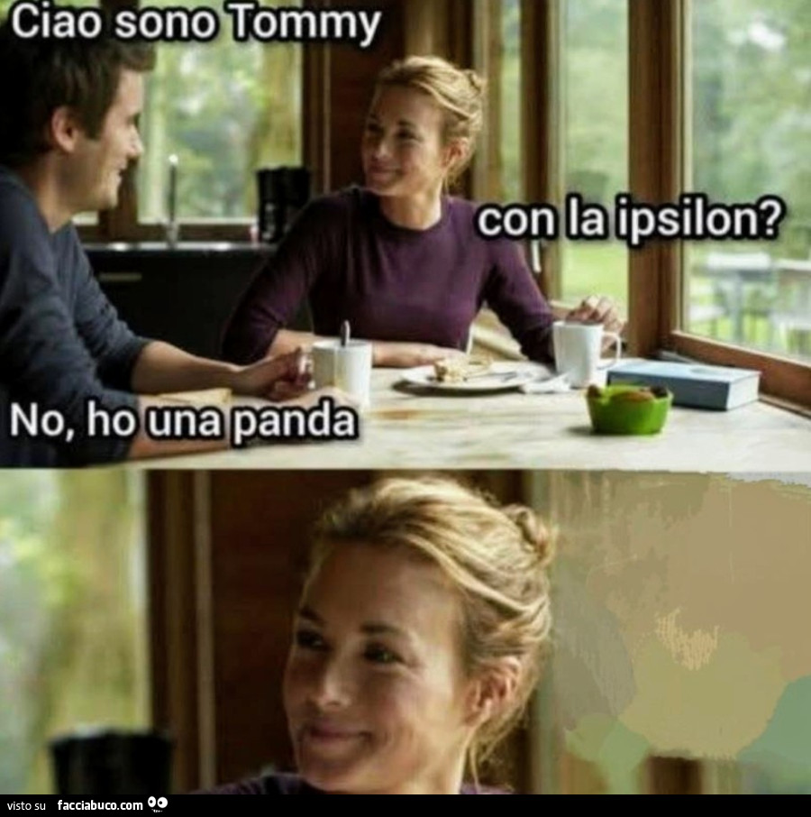 Panda