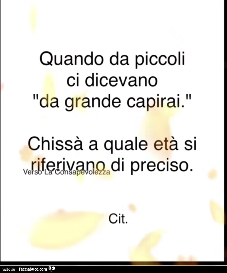 Quando da piccoli ci dicevano da grande capirai. Chissà a quale età si riferivano di preciso