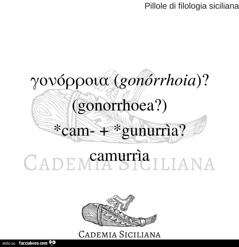 Gonorrhoea? Camurrìa