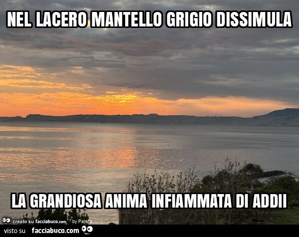 Buonasera
