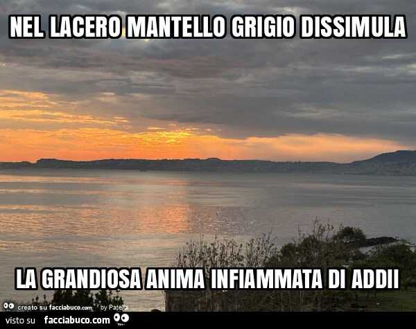 Buonasera