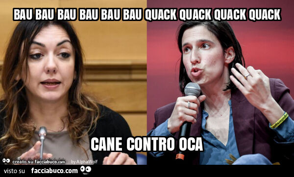 Bau bau bau bau bau bau quack quack quack quack cane contro oca