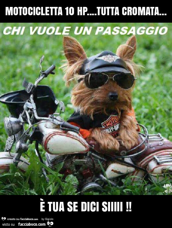 Motocicletta 10 hp… tutta cromata… è tua se dici siiiii