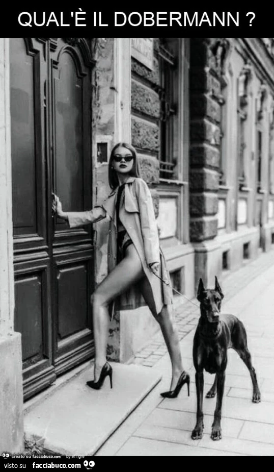 Qual'รจ il dobermann?