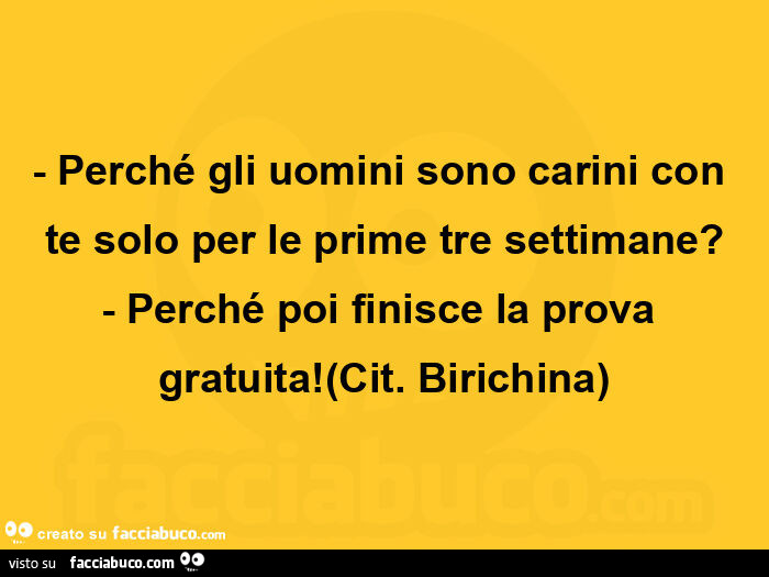 Perché gli uomini sono carini con te solo per le prime tre settimane? Perché poi finisce la prova gratuita! Cit. Birichina