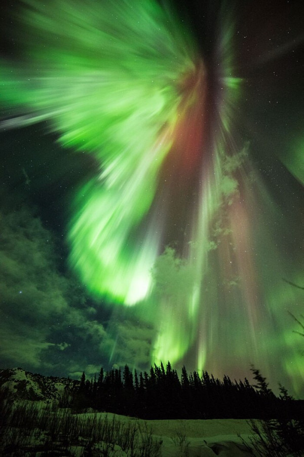 Aurora boreale a Donnelly Creek Alaska