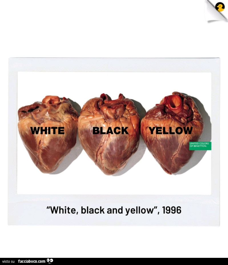 White black yellow, 1996