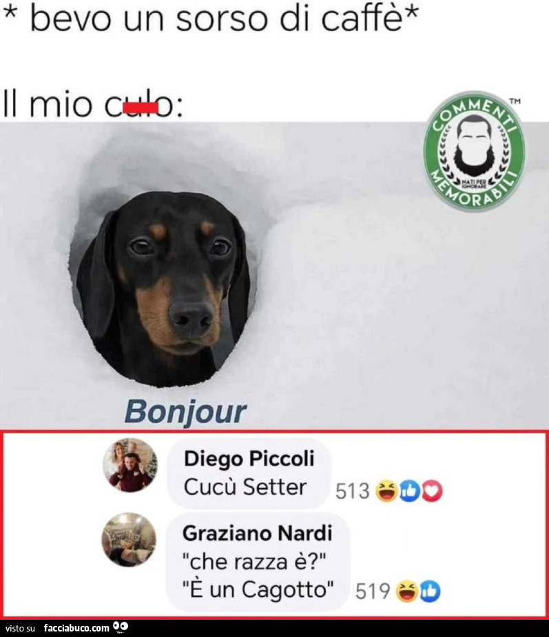 Bevo un sorso di caffè. Il mio culo: bonjour. Cucù setter
