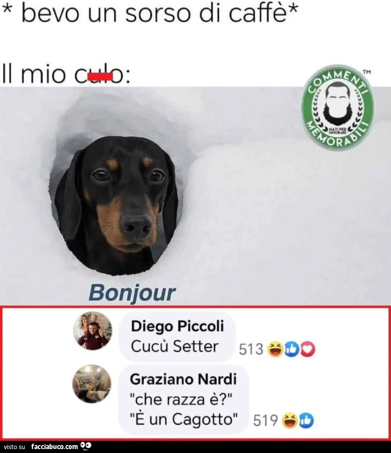 Bevo un sorso di caffè. Il mio culo: bonjour. Cucù setter